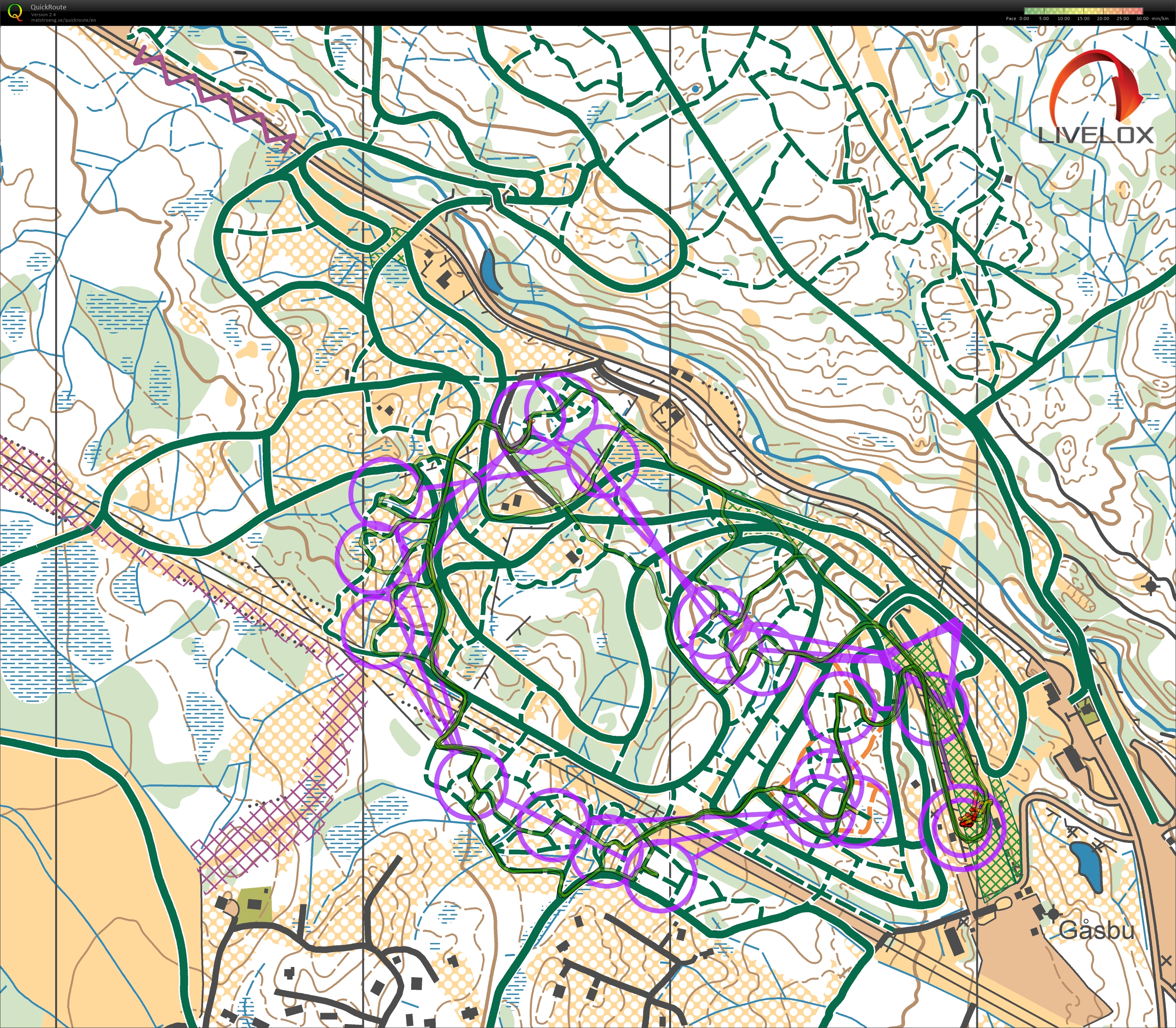 NM Sprintstafett (23.02.2025)