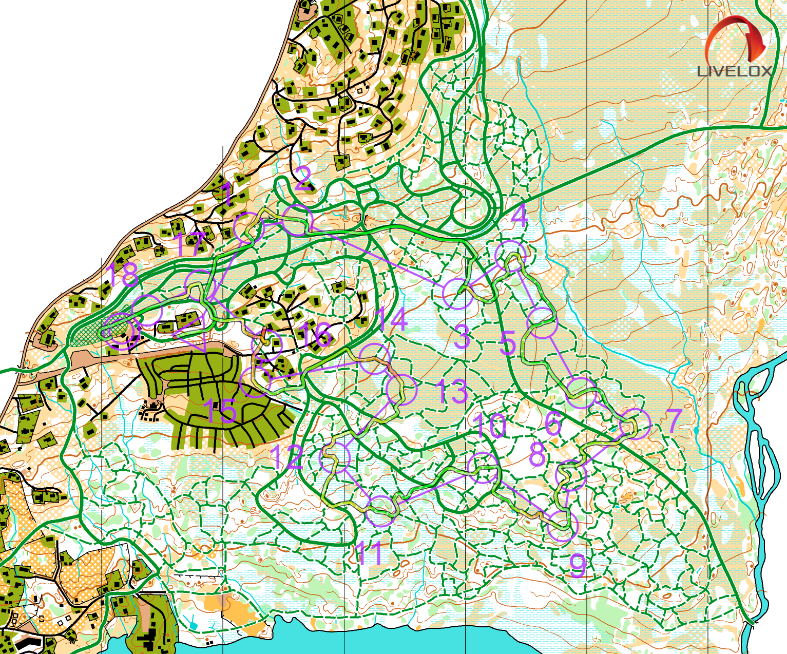 NC Sprint Sjujsøen (18.01.2025)